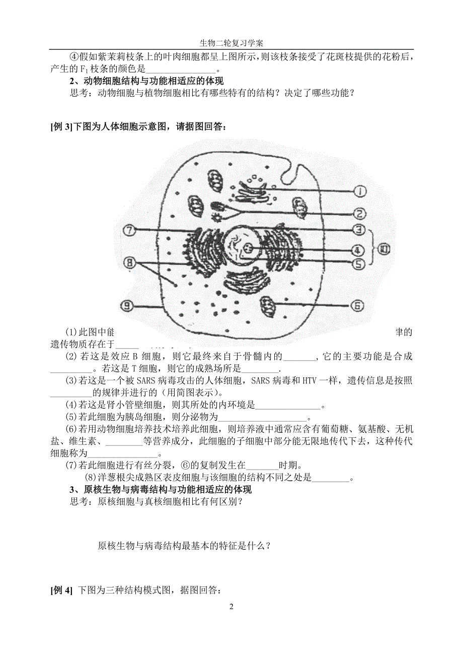 生物学中结构与功能相适应思想的体现_第2页