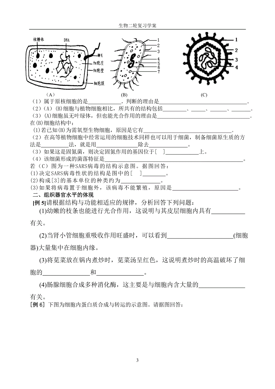 生物学中结构与功能相适应思想的体现_第3页