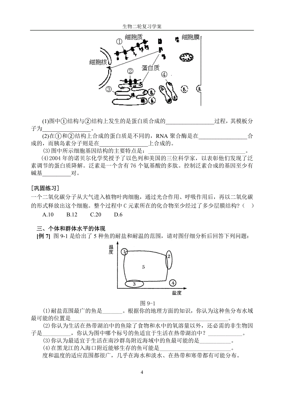 生物学中结构与功能相适应思想的体现_第4页