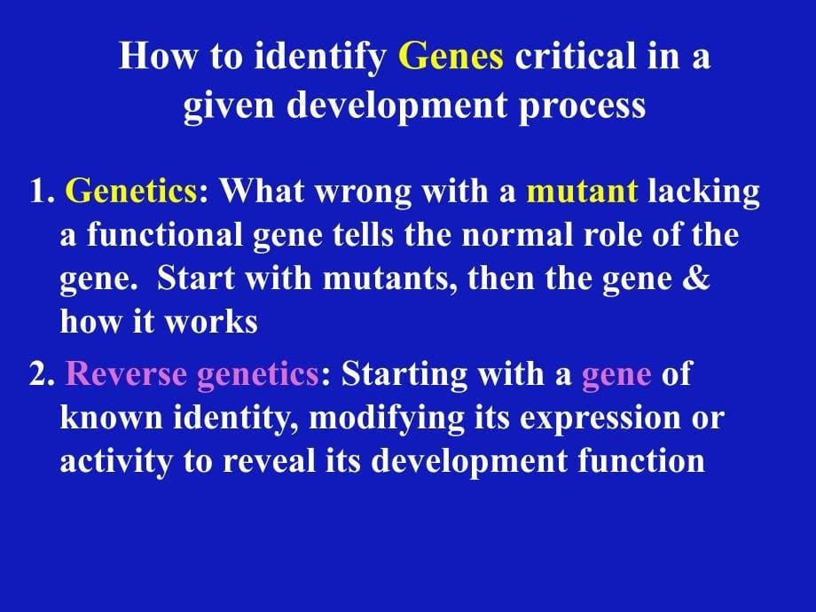 比较基因组学与分子进化3_第5页