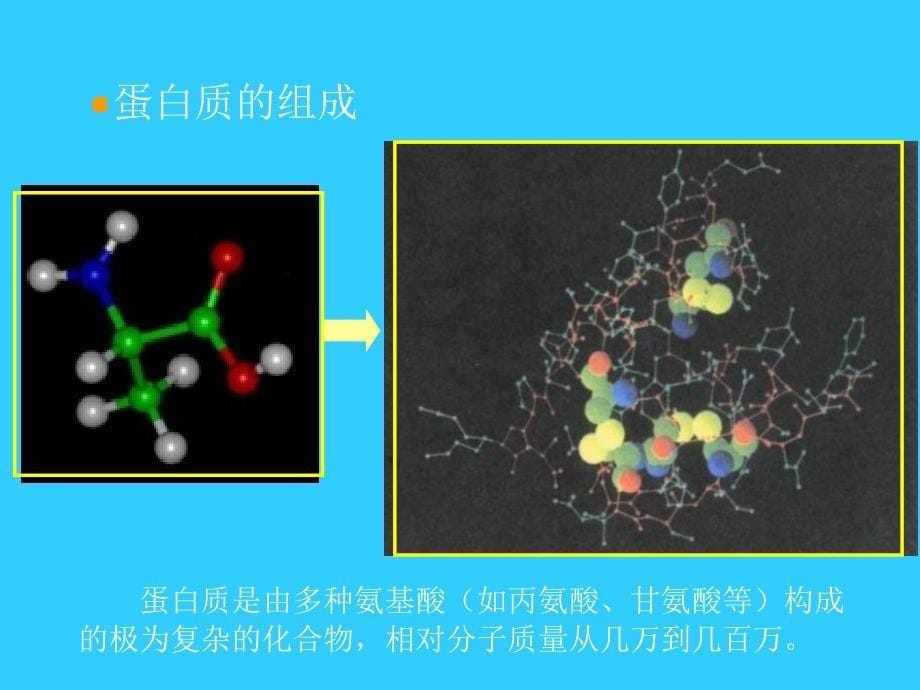 课题 1  《人类重要的营养物质》_第5页