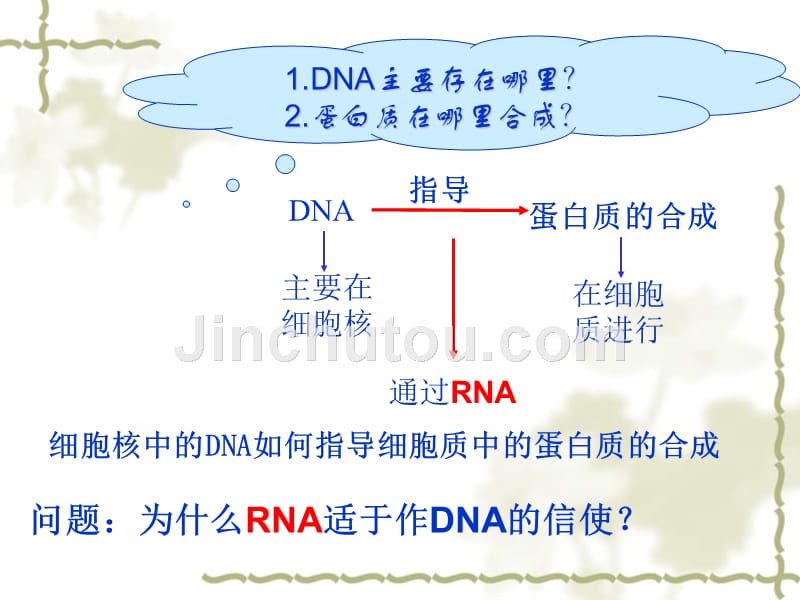 高中生物浙科版必修二 第三章 第四节 遗传信息的表达——rna和蛋白质的合成_第3页