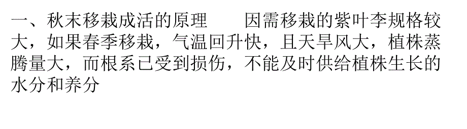 枣树苗紫叶李大苗移栽技术_第1页