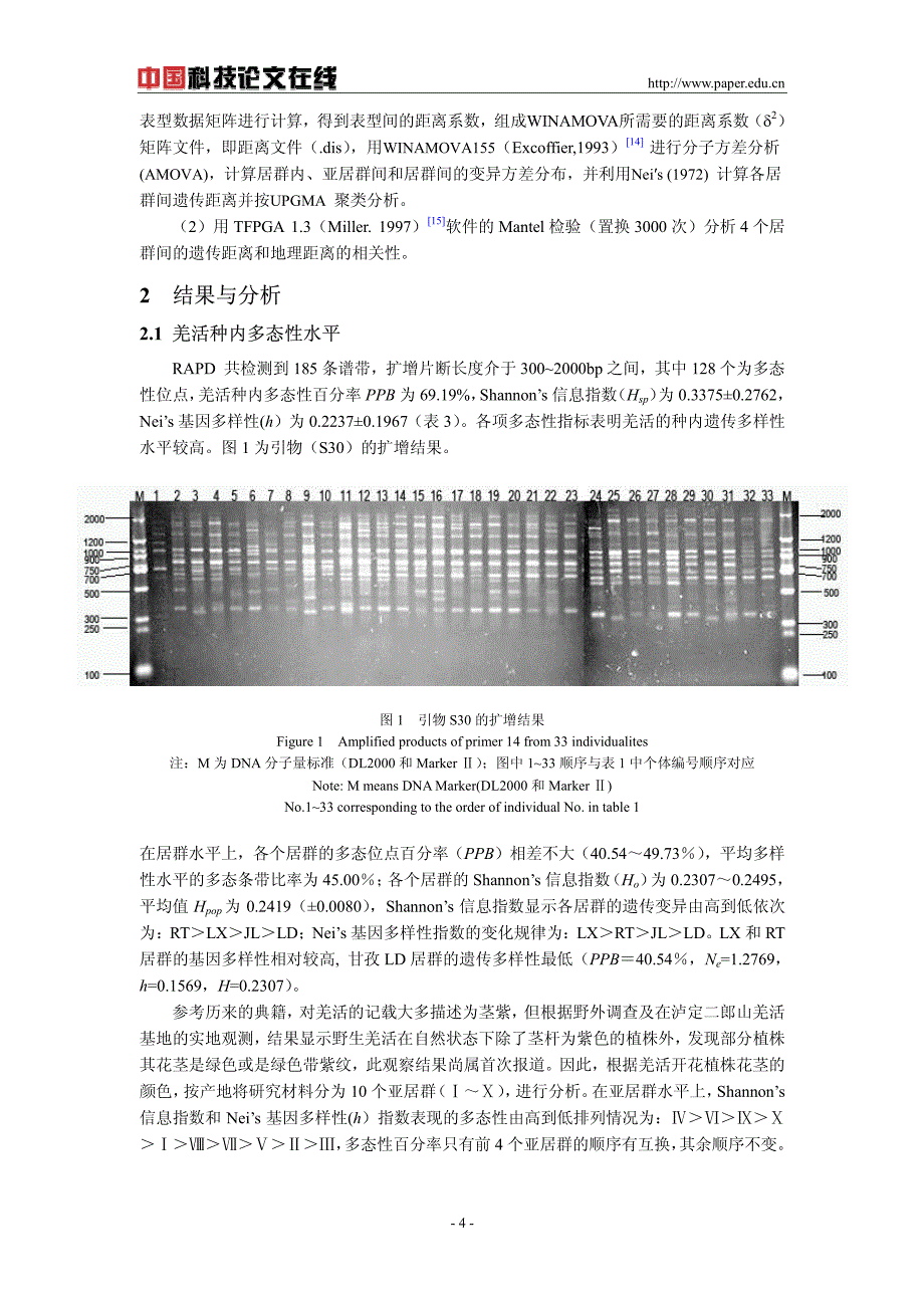 川产羌活种质资源的rapd分析_第4页