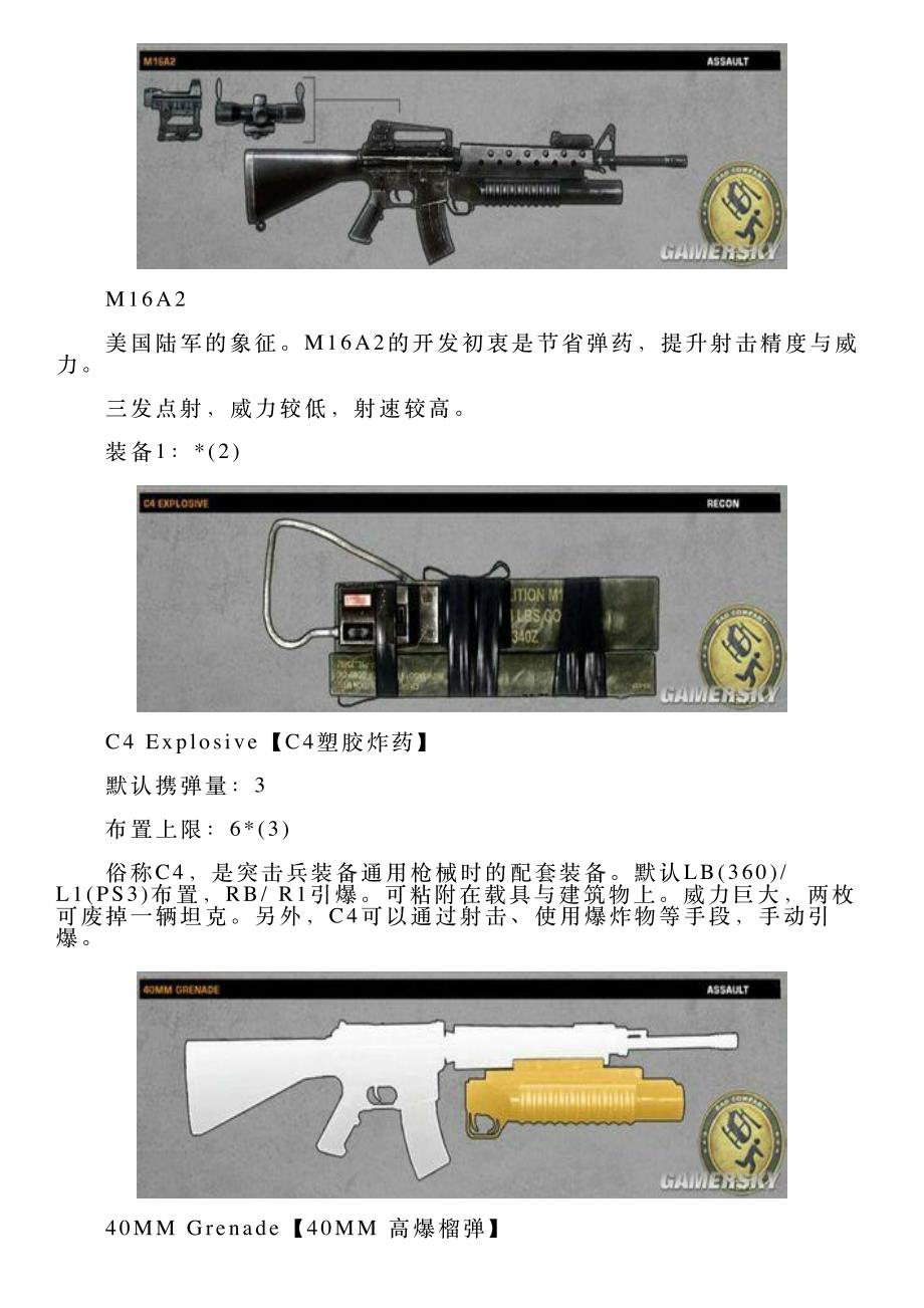 战地：叛逆连队2——突击兵装备分析_第4页