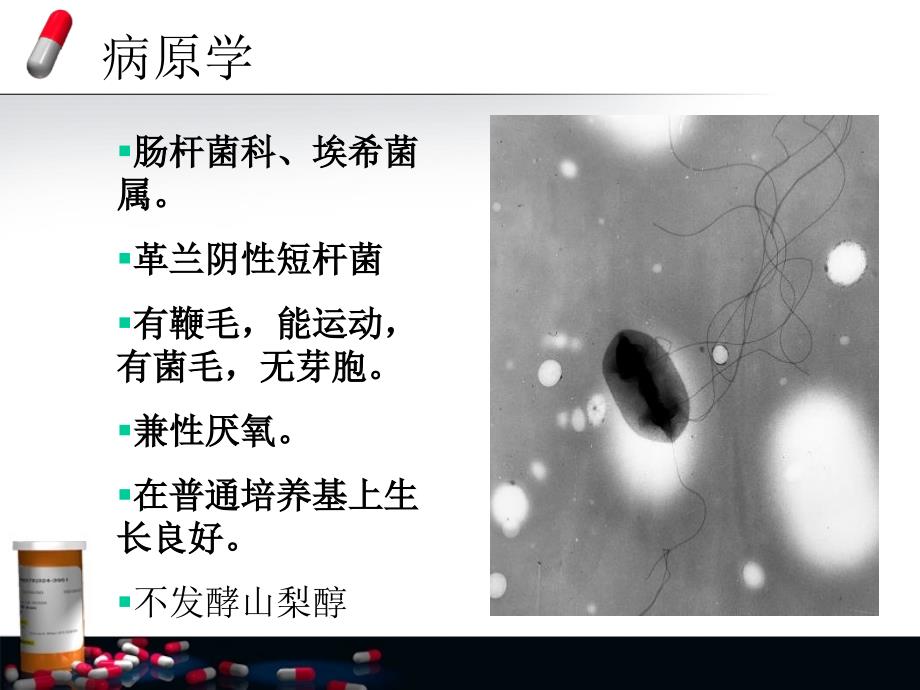 肠出血性大肠杆菌感染_第3页