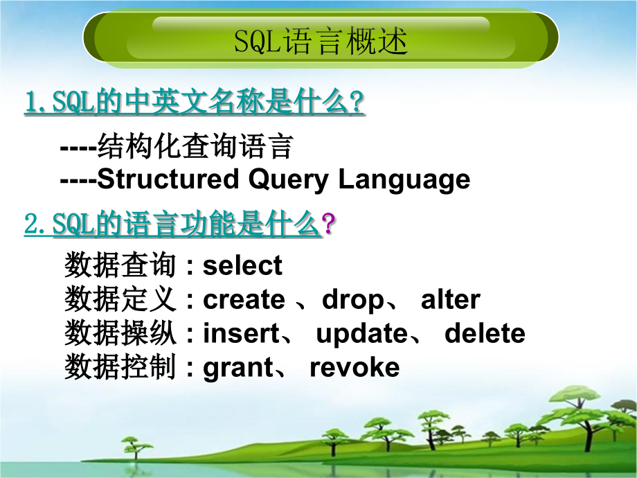 dfs-service-vf结构化查询语言SQL_第3页