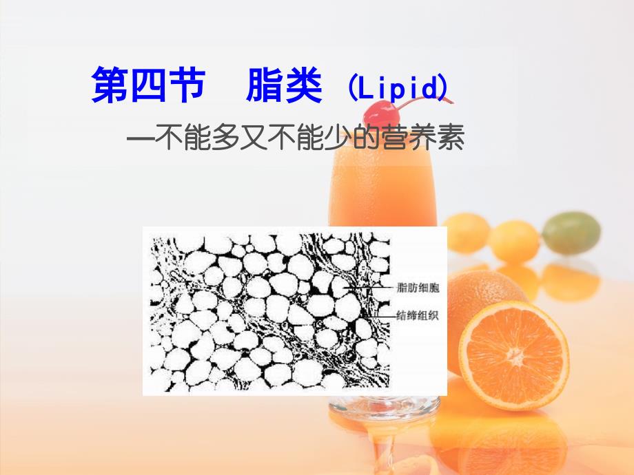 营养素2-脂肪、糖类_第1页