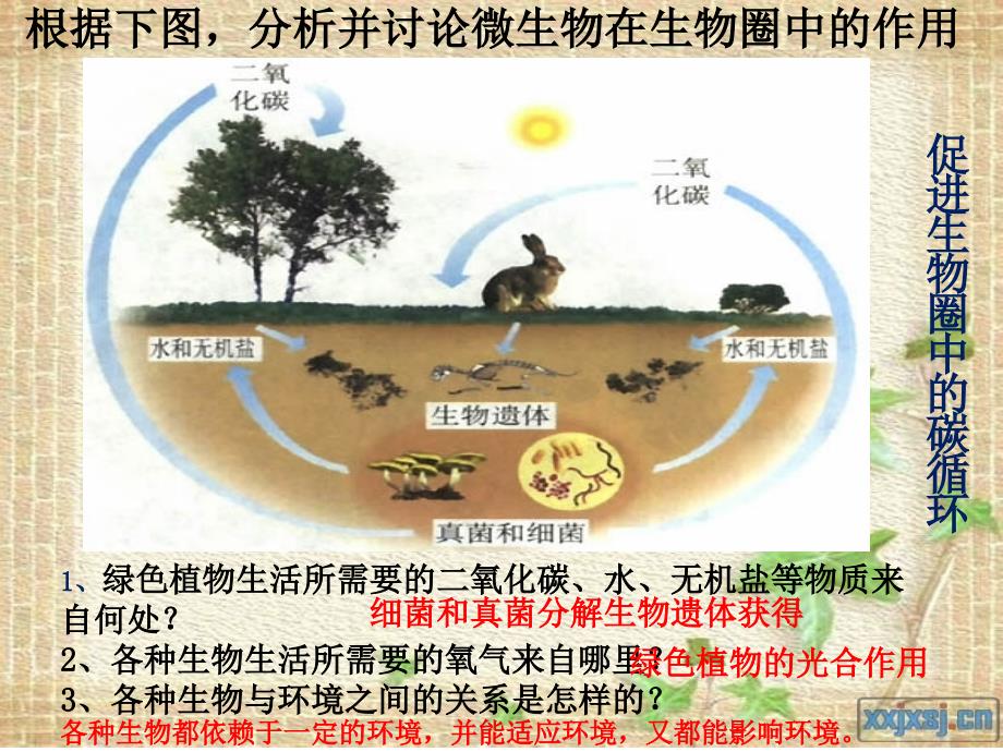 微生物在生物圈中的应用生物圈_第4页