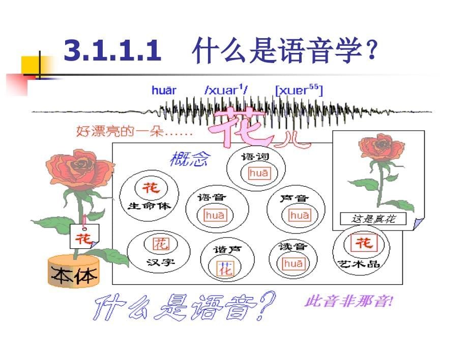 语言学概论课件_第5页