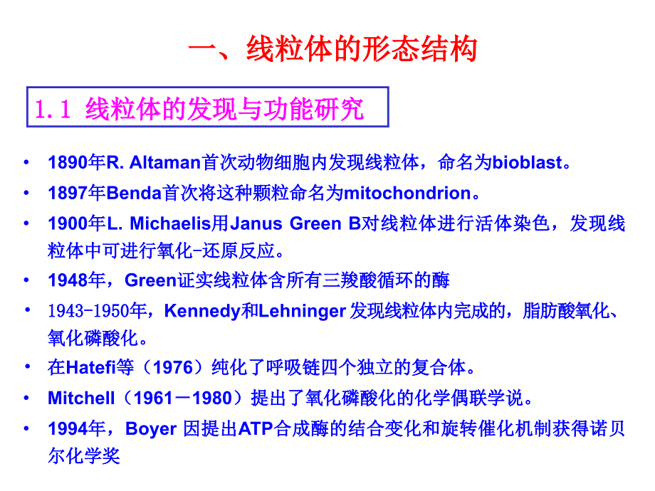 细胞生物学第六章 细胞的能量转换器_第3页