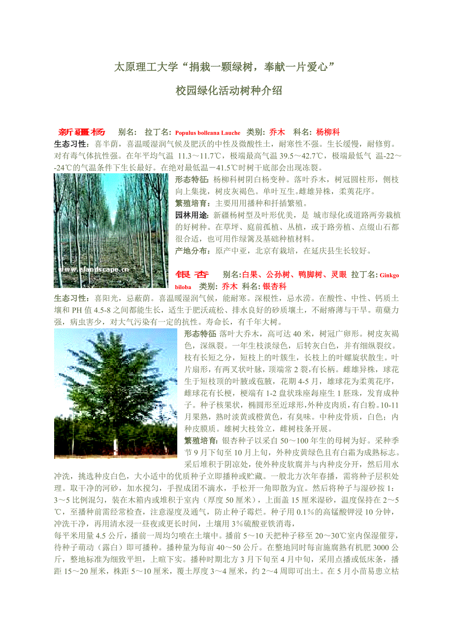 捐栽一颗绿树_第1页