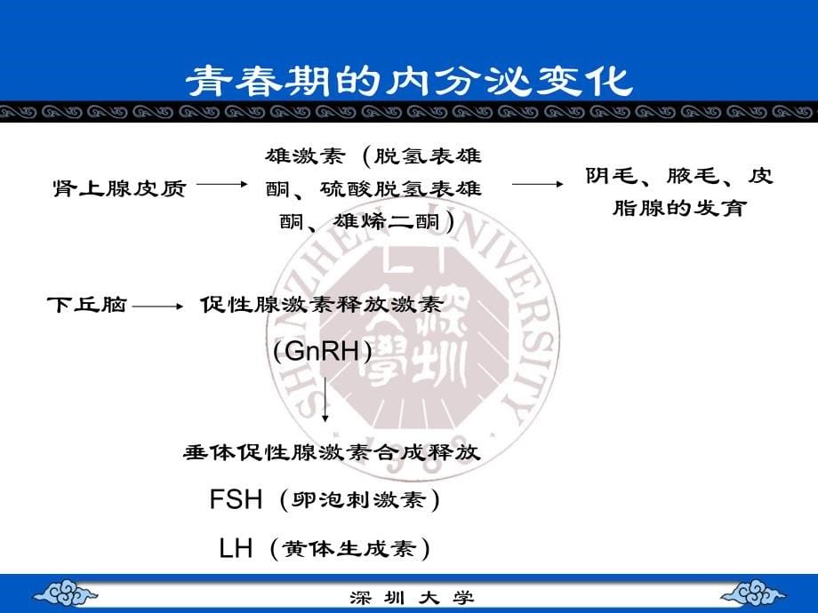 青春期保健知识幻灯片_第5页