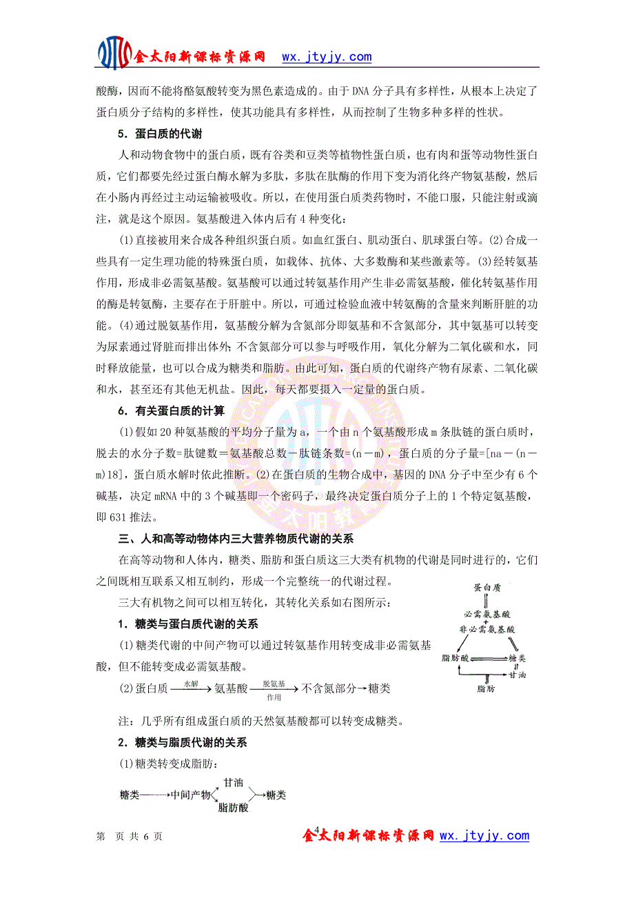 【高三生物专题复习纲要】专题3 人和动物的新陈代谢_第4页