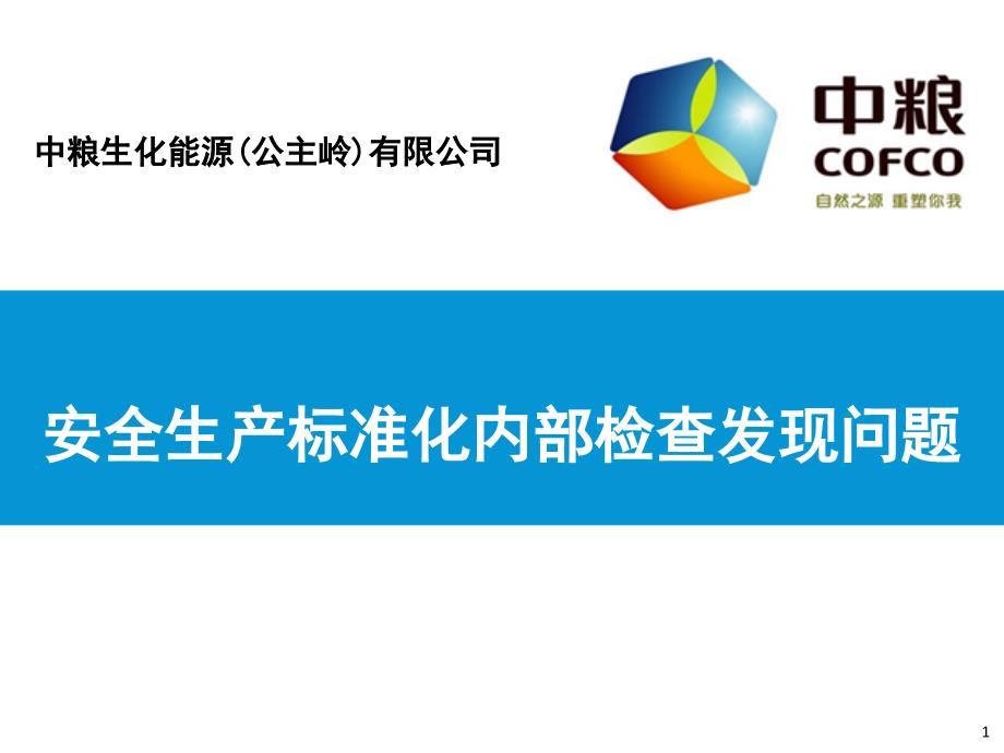 安全生产标准化内部检查发现问题_第1页