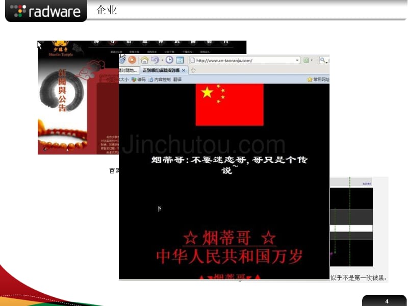 Radware 网站安全解决方案_第4页
