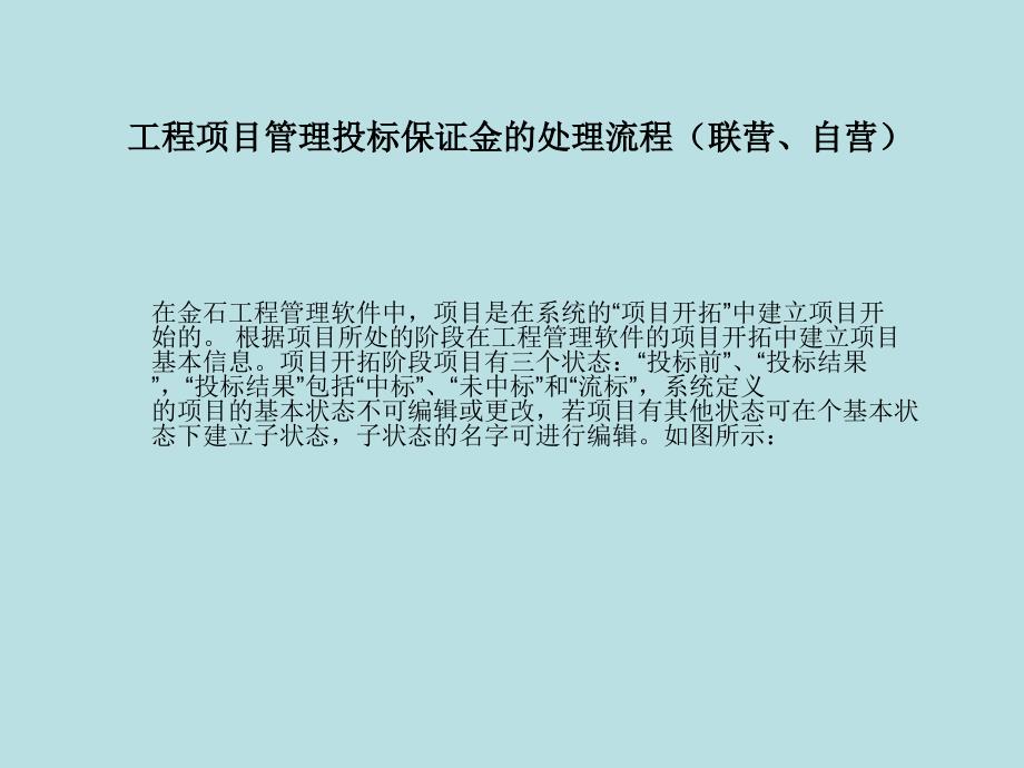 工程项目管理投标保证金的处理流程(_第1页