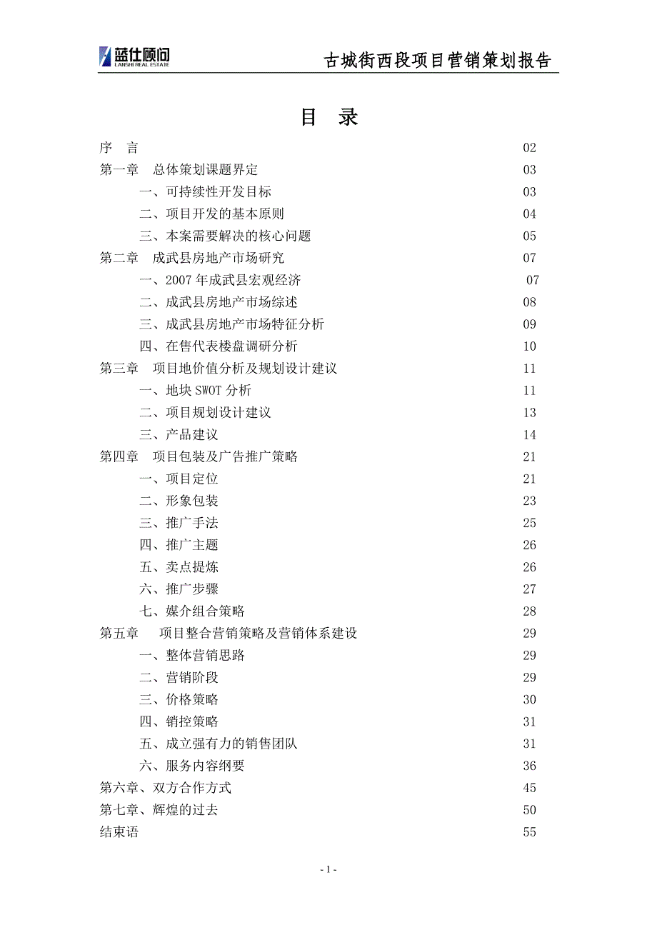 山东成武县古城街西段项目营销策划报告_第2页