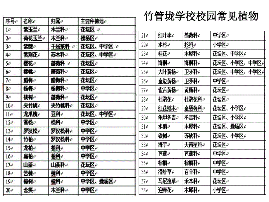 校园生物分布图[1]_第2页