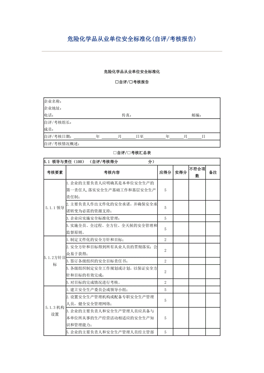 安全标准化自评报告(最新)_第1页