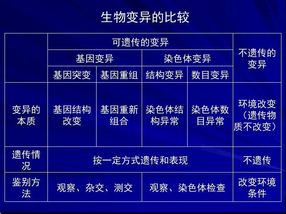 高考生物总复习 生物的变异与进化_第5页