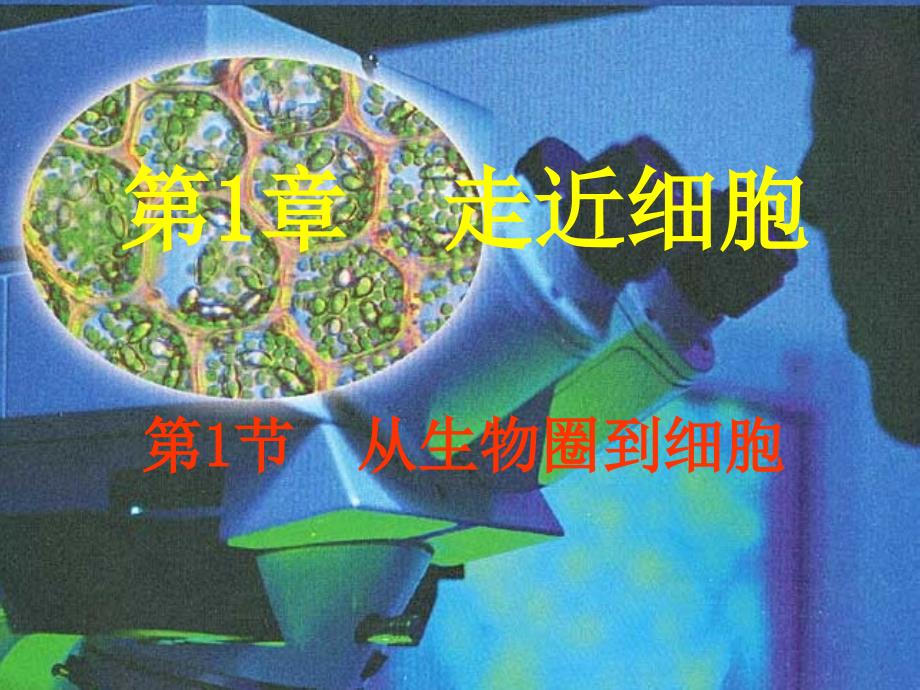 从生物圈到细胞1_第1页