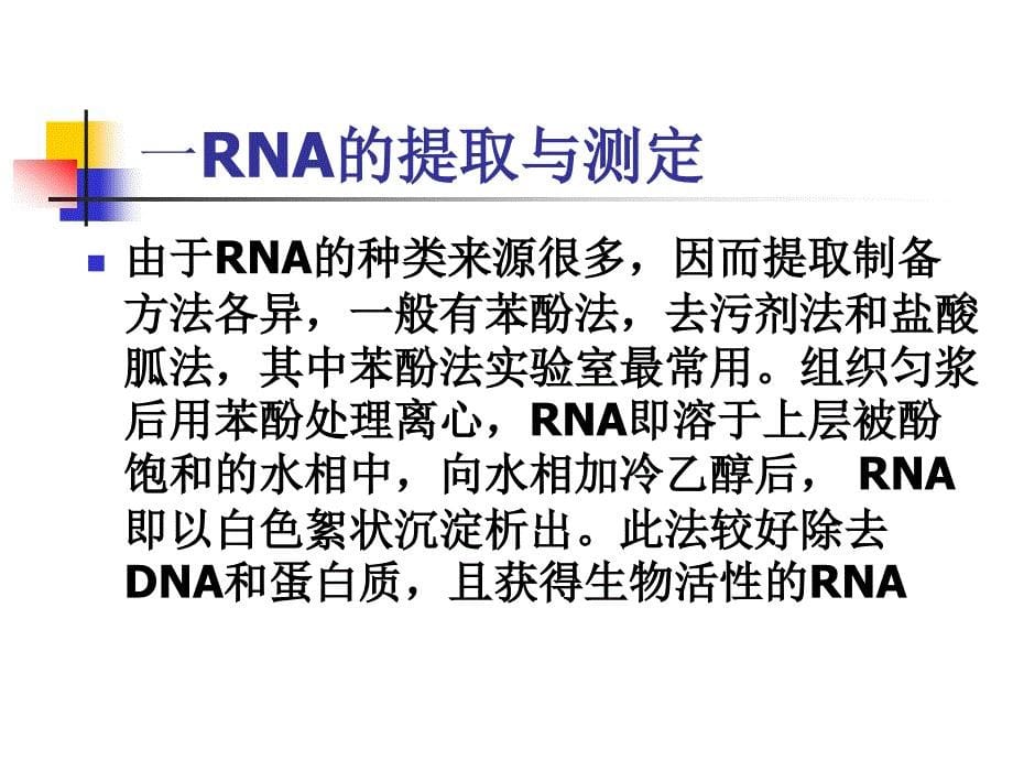 动物基因组dna_第5页