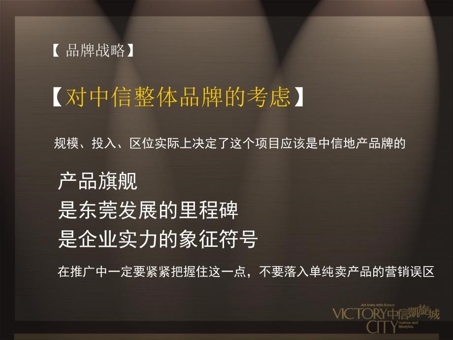 整合推广构想_第5页