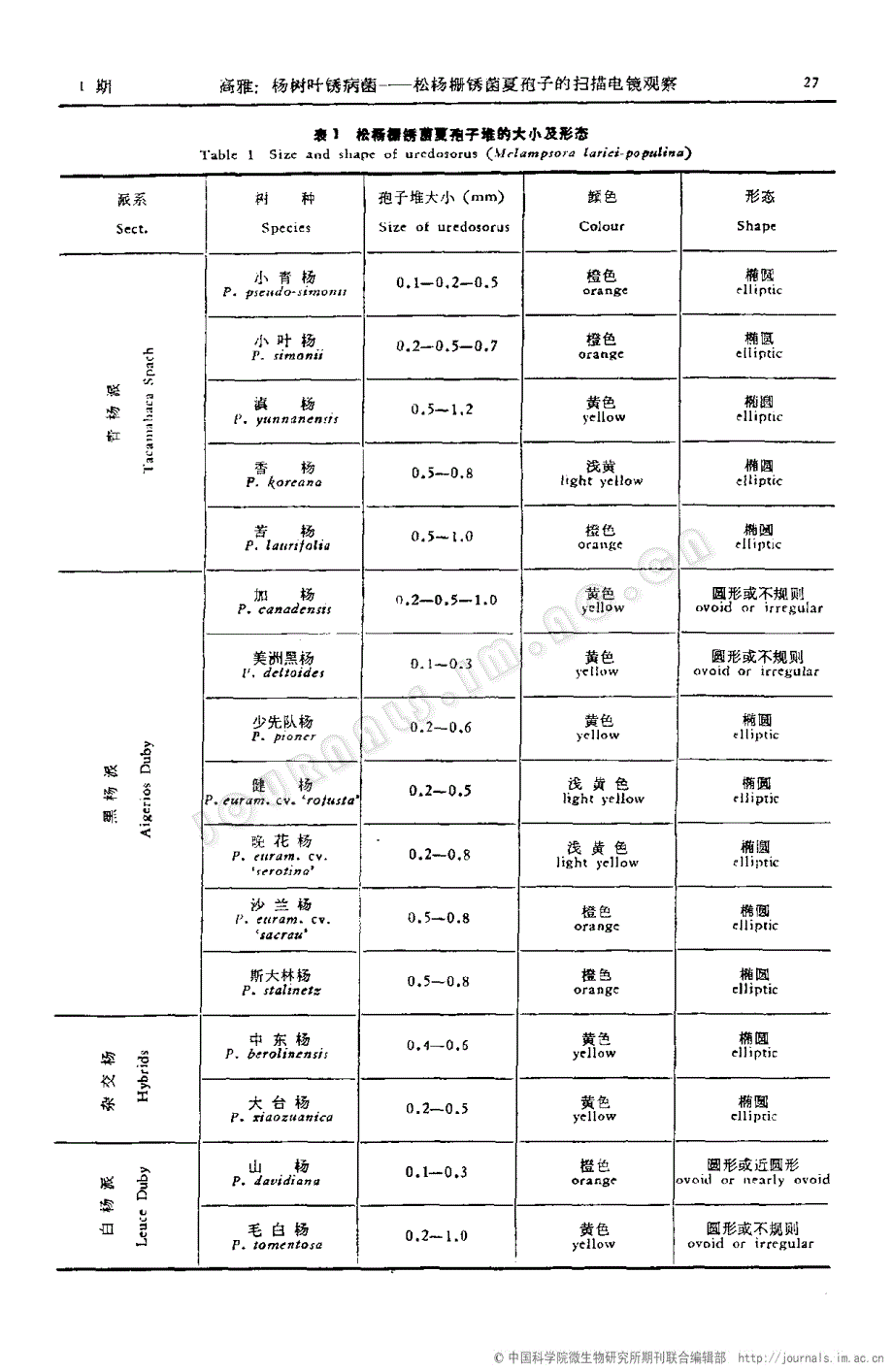 杨树叶锈病菌――松杨栅锈菌夏孢子的扫描电镜观察_第2页