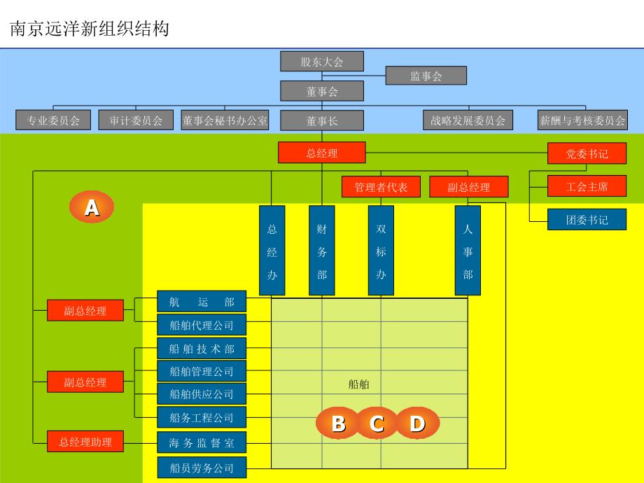 某远洋组织设计报告_第4页