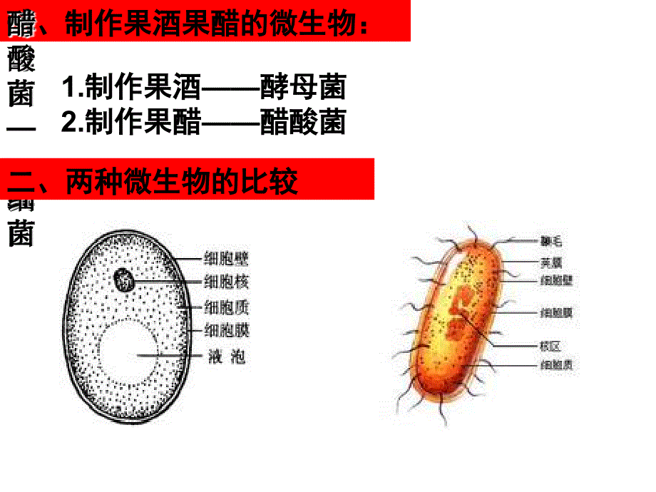 课题一  果酒和果醋的制作_第2页