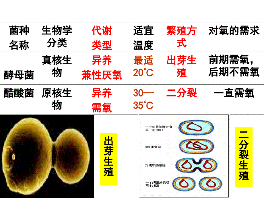 课题一  果酒和果醋的制作_第3页