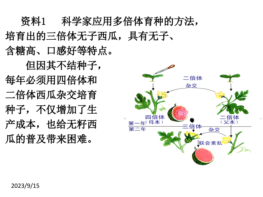 植物细胞工程的实际应用(_第4页