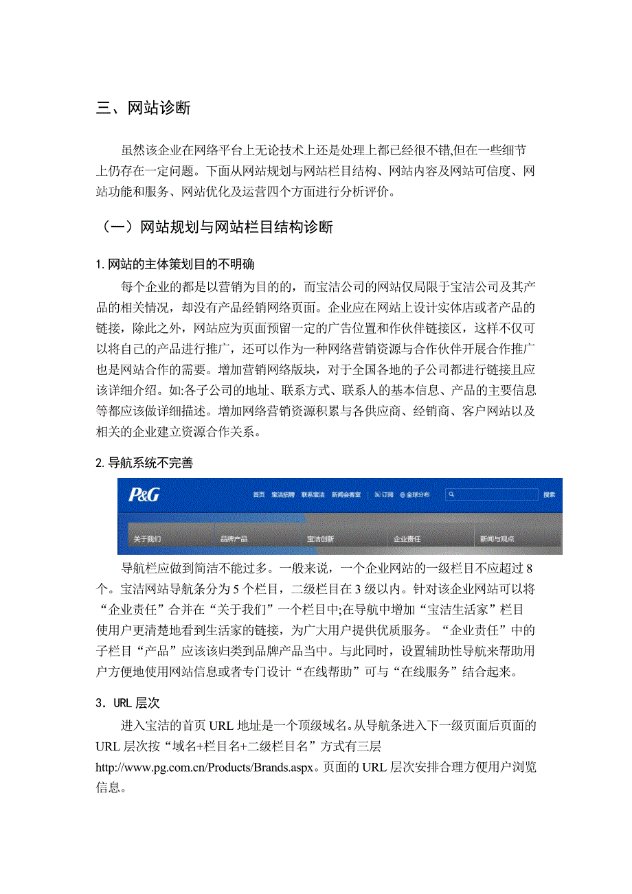 宝洁公司网站诊断案例_第4页