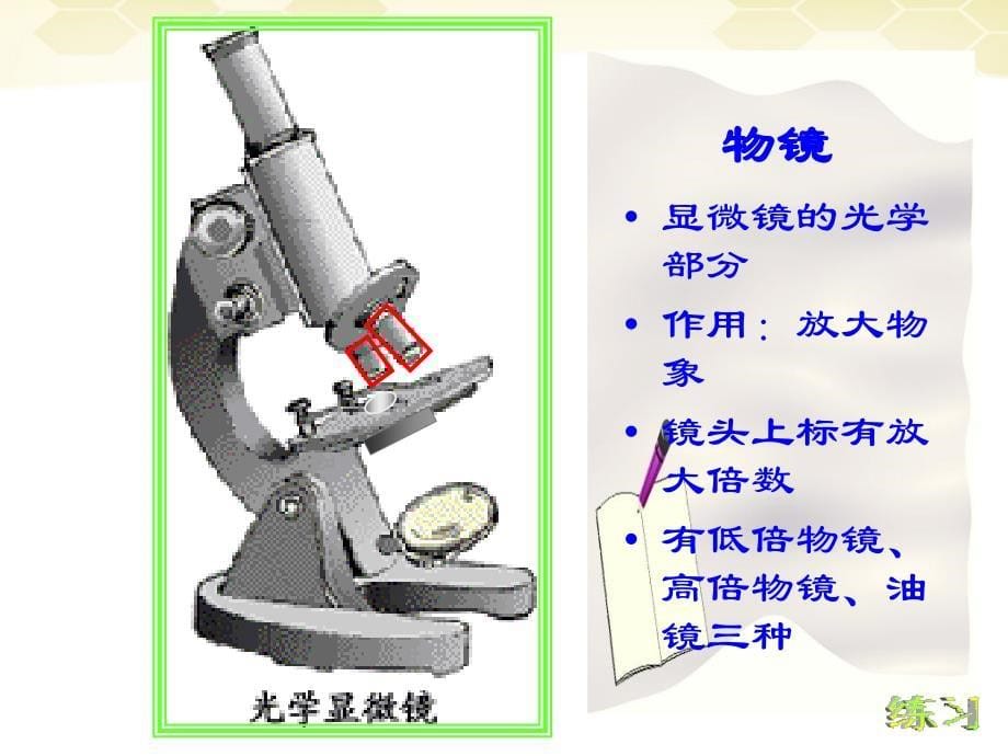 七年级生物上册 显微镜的结构和使用课件 苏教版_第5页