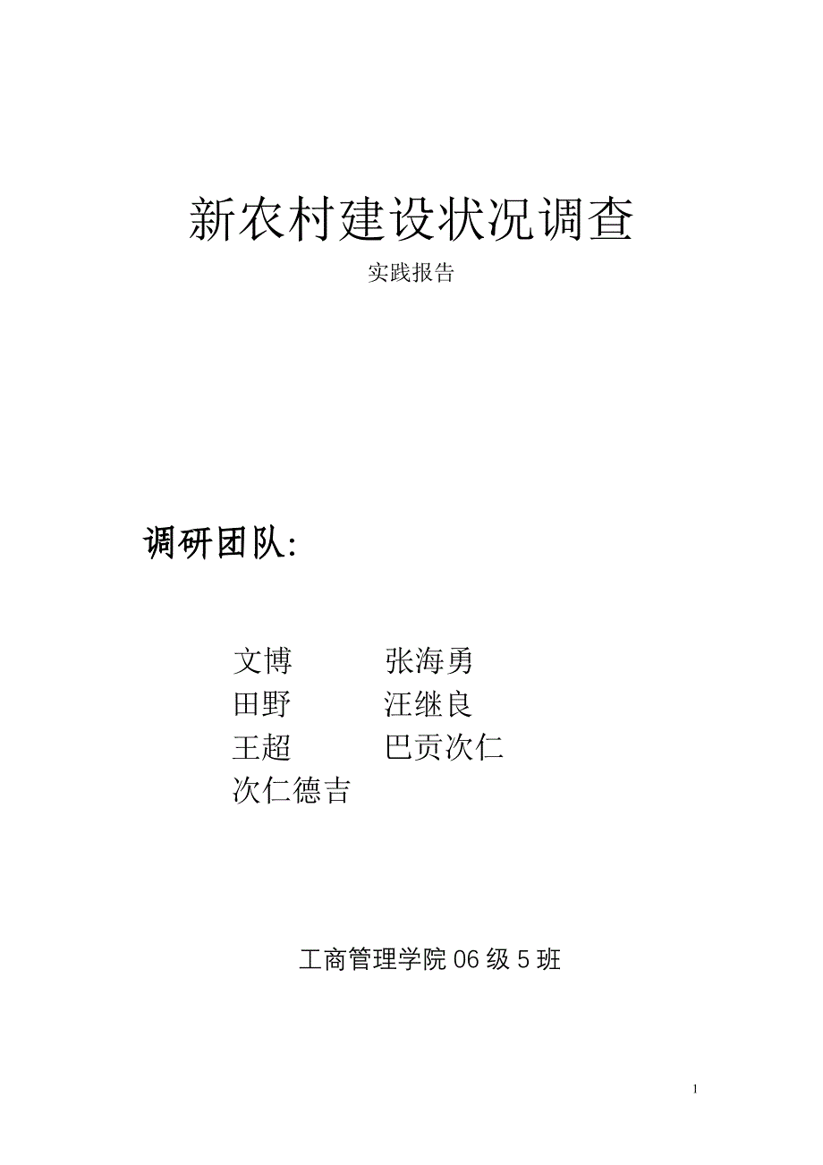 新农村建设状况调查实践报告_第1页