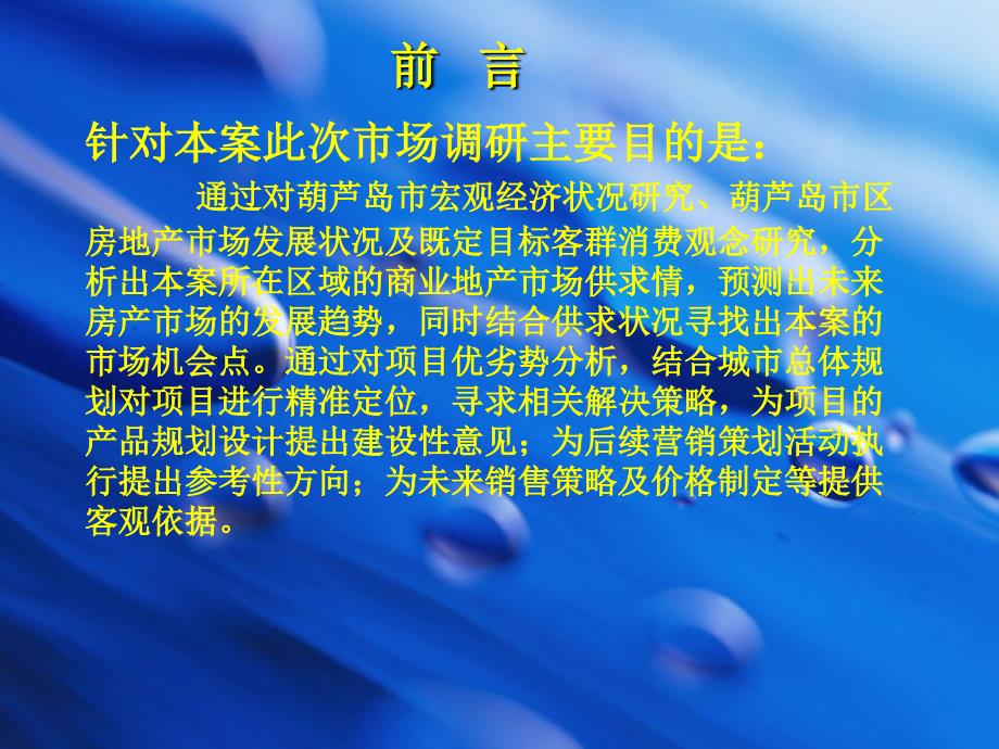 辽宁省葫芦岛项目商业市场报告(56页）_第2页