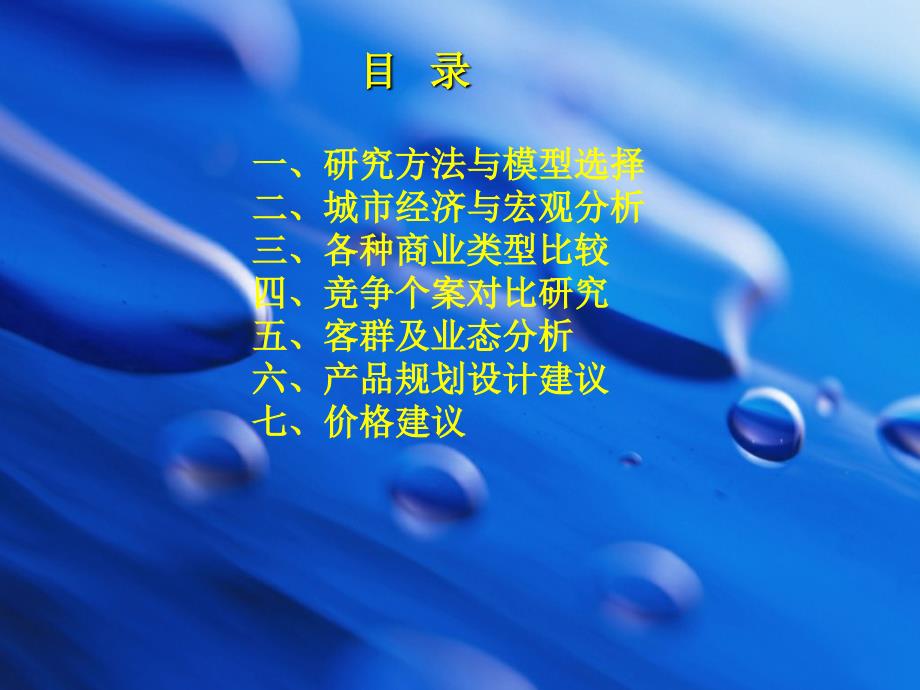 辽宁省葫芦岛项目商业市场报告(56页）_第3页