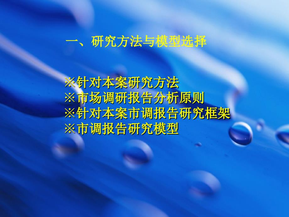 辽宁省葫芦岛项目商业市场报告(56页）_第4页