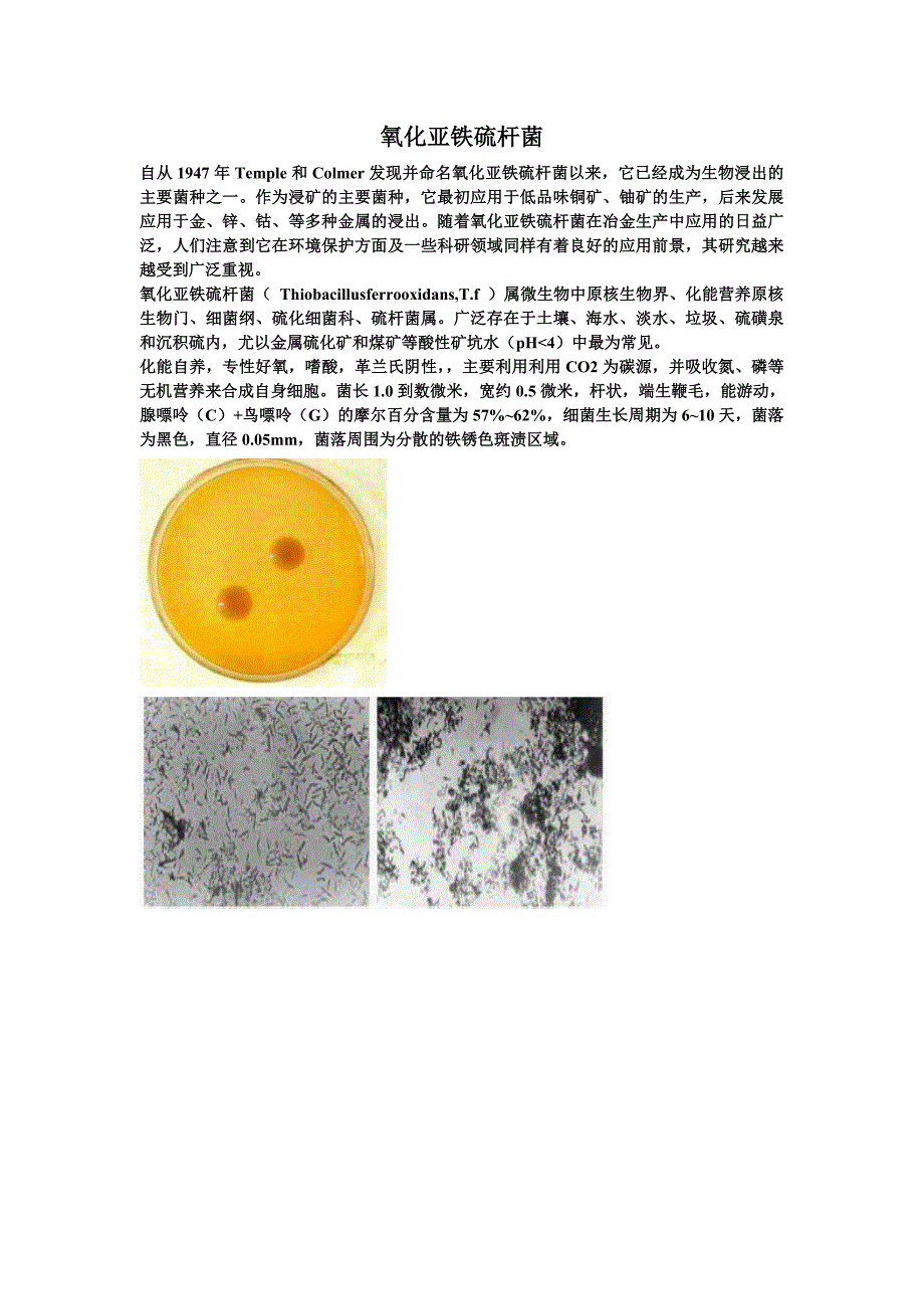 氧化亚铁硫杆菌_第1页