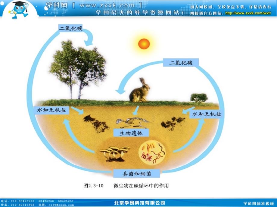 促进生物圈中的碳循环_第3页