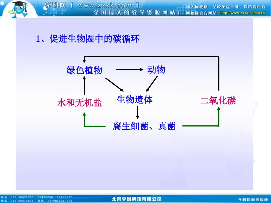 促进生物圈中的碳循环_第4页