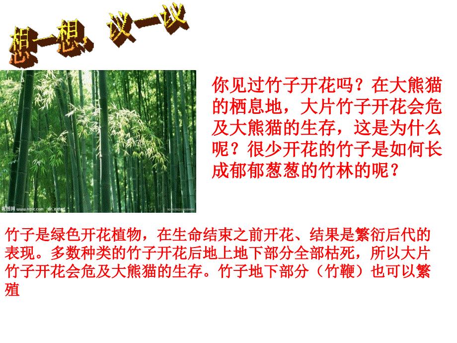 第一节 植物的生殖_第3页