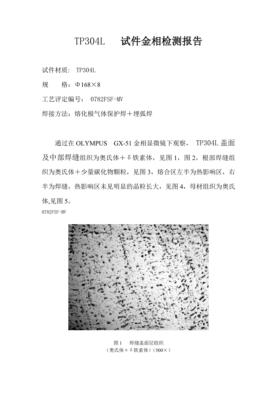 TP304L试件金相检测报告_第1页