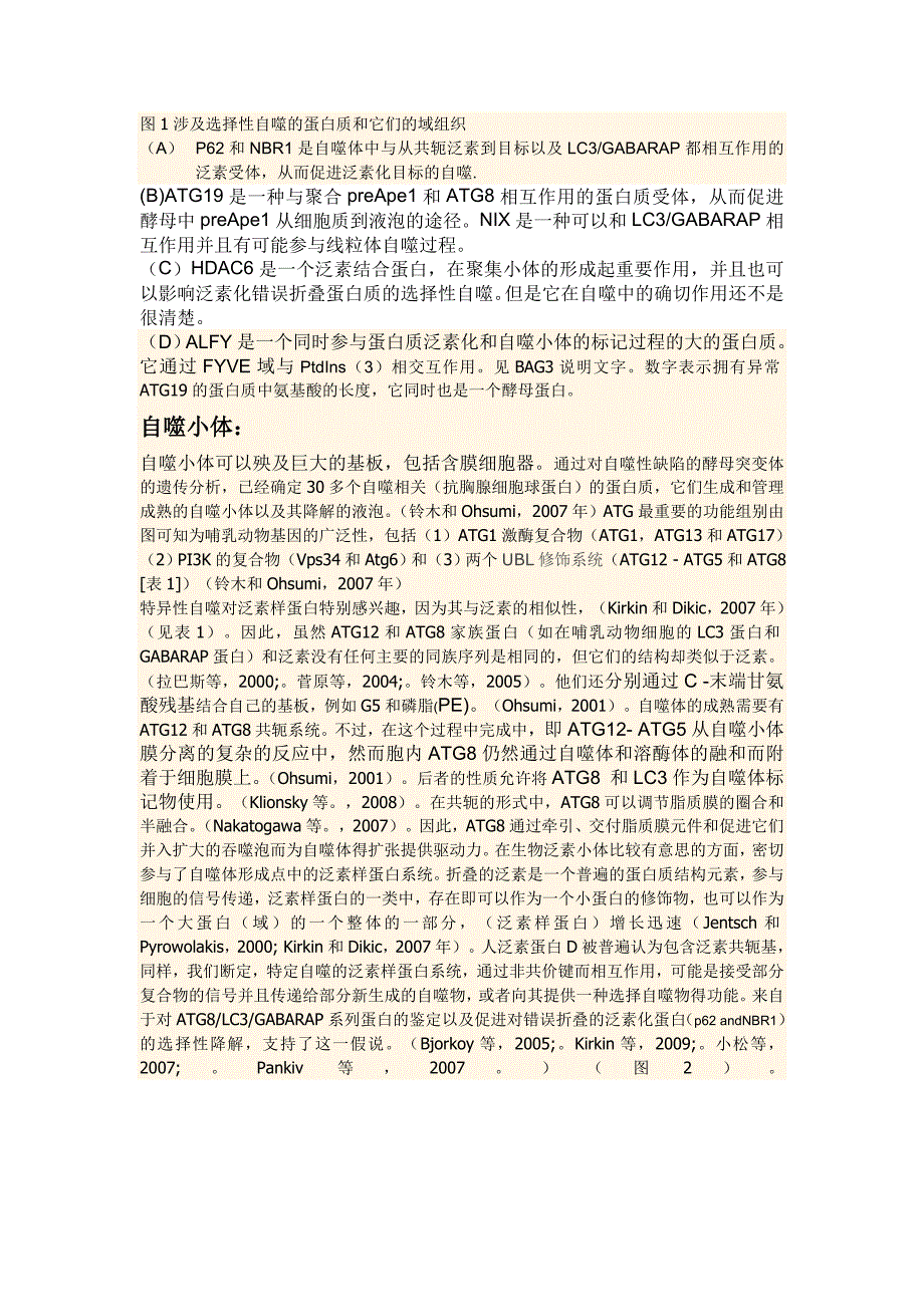 一个选择性的泛素的自噬作用(文献翻译)A_Role_for_Ubiquitin_in_Selective_Autophagy_第3页