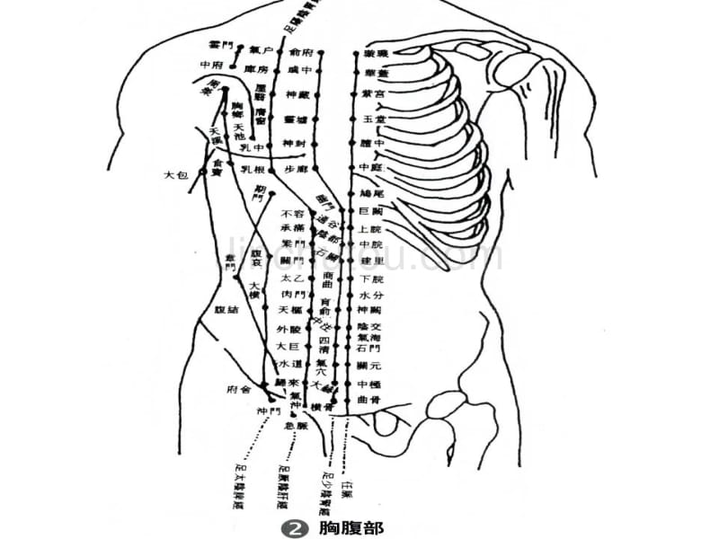 针灸人体穴位图大全_第2页