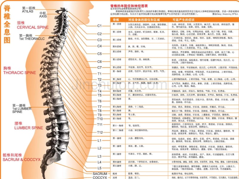 针灸人体穴位图大全_第3页