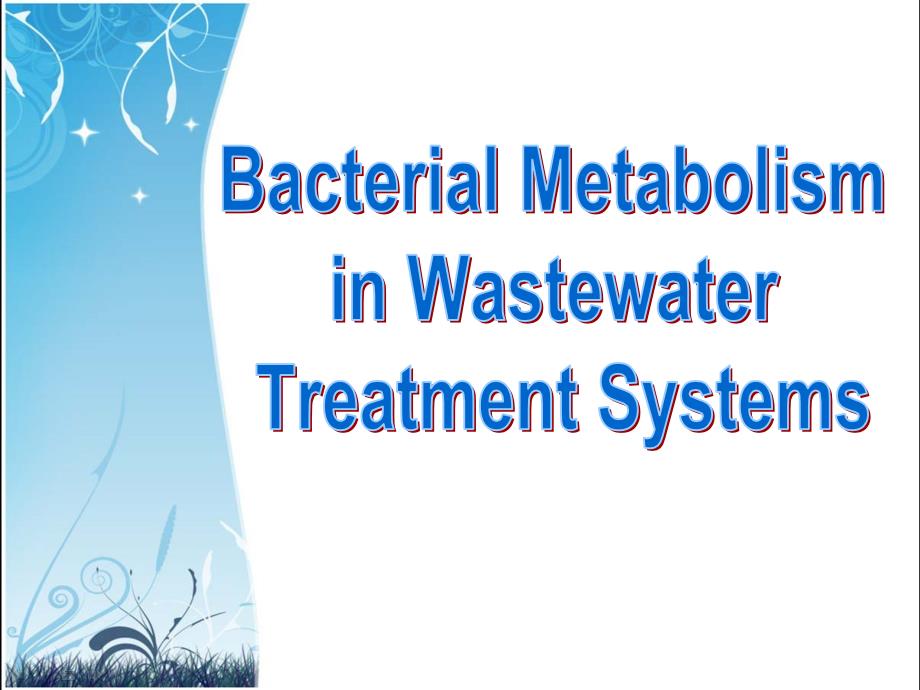废水处理系统中的细菌代谢_第1页