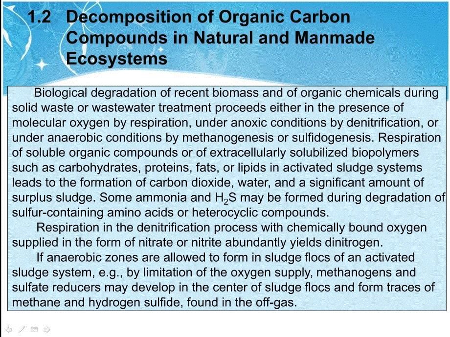 废水处理系统中的细菌代谢_第5页