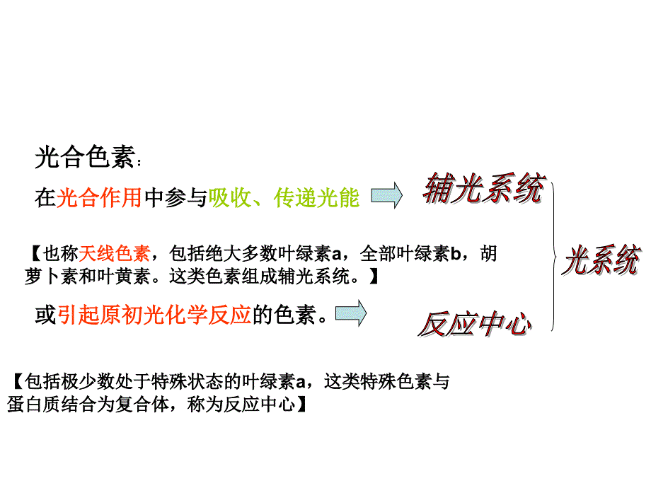 光合作用(光合色素)_第4页